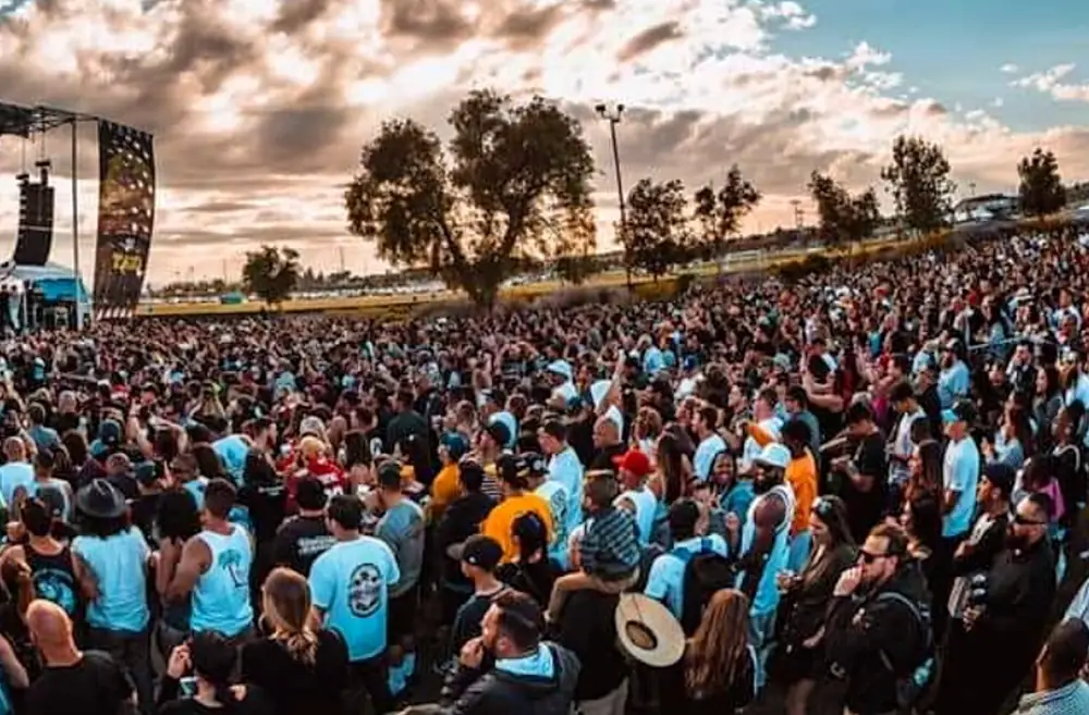 Festival crowd at sunset